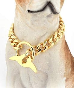 Collar de Cadena para Perro de Oro 18K sobre Cadena de