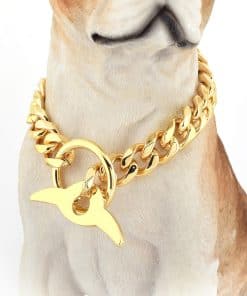 Collar de Cadena para Perros Chapado en Oro 18K con Cadena