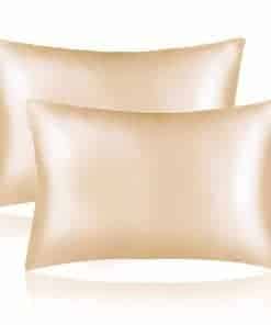 Funda de Almohada de Seda Sutuo Home 2 Pack -Champagne