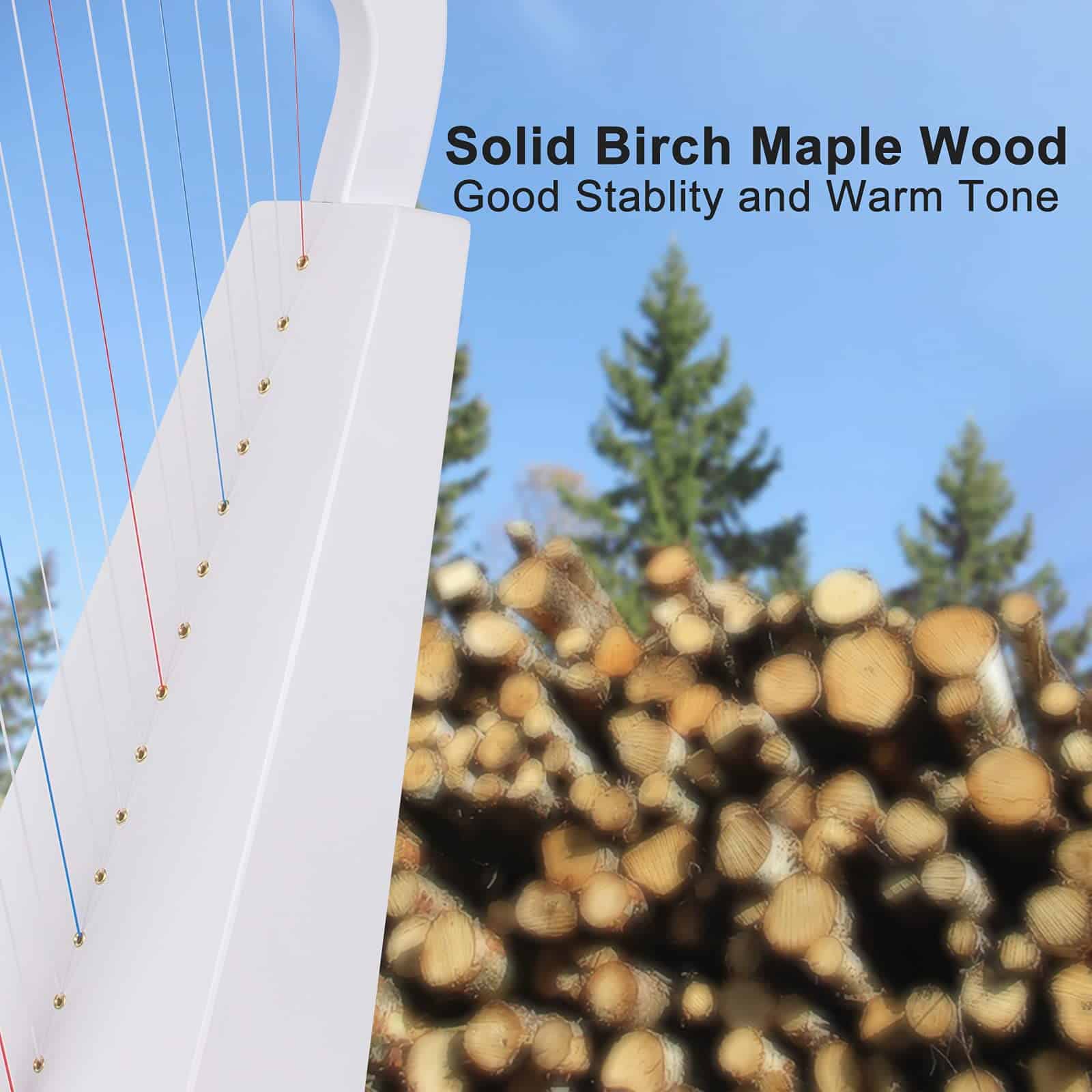 Arpa Lira, 15 cuerdas 22 pulgadas Instrumento Musical de - Imagen 5