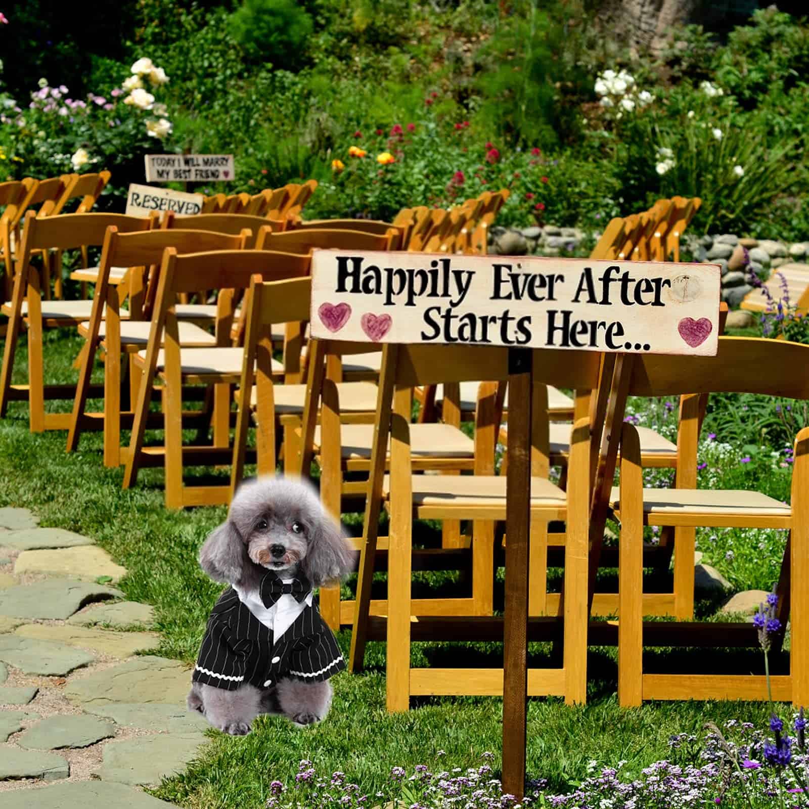 Traje de Esmoquin para Perro HACRAHO, 1 paquete de Esmoquin - Imagen 7