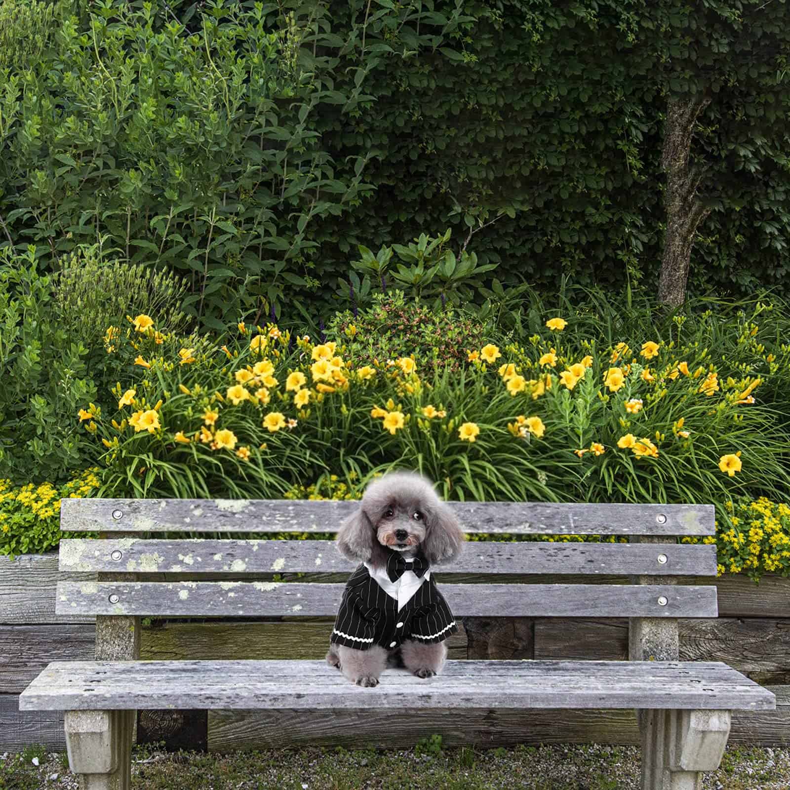 Traje de Esmoquin para Perro HACRAHO, 1 paquete de Esmoquin - Imagen 6