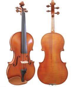 Violín D Z Strad Modelo 220 con cuerdas Dominant, arco,