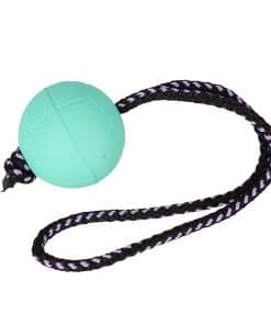 Pelota BIBI Dingo para Entrenamiento de Perros, Juguete