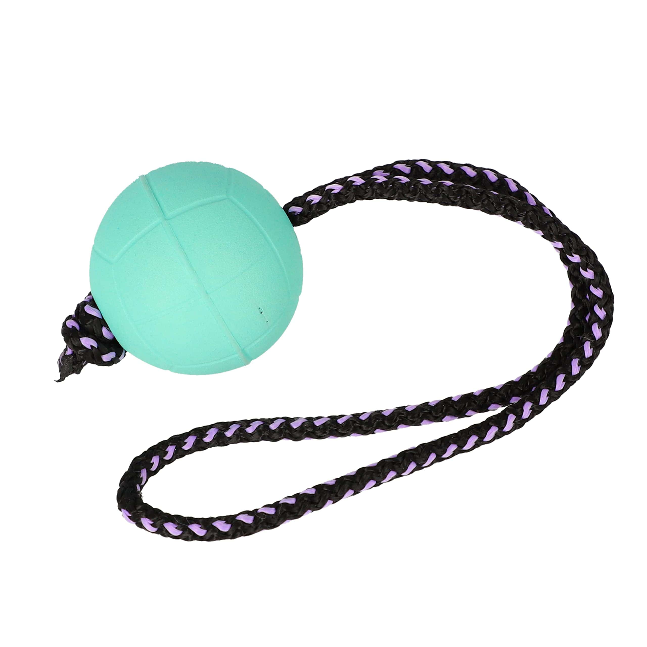 Pelota BIBI Dingo para Entrenamiento de Perros, Juguete
