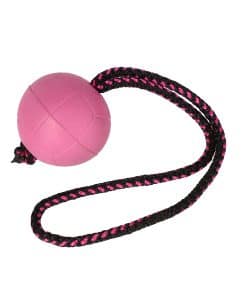 Pelota para Entrenamiento de Perros Dingo BIBI, Flotante,