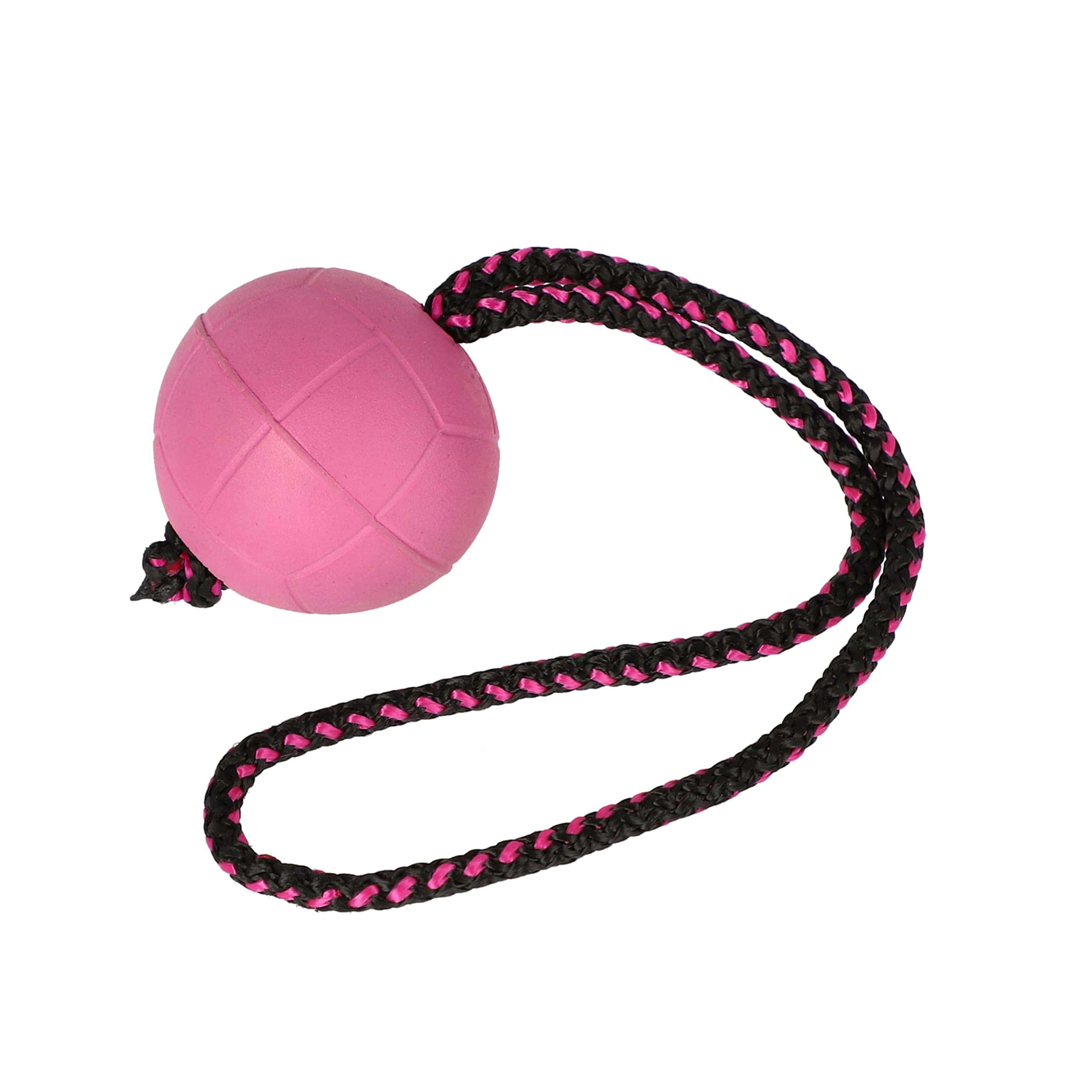 Pelota para Entrenamiento de Perros Dingo BIBI, Flotante,