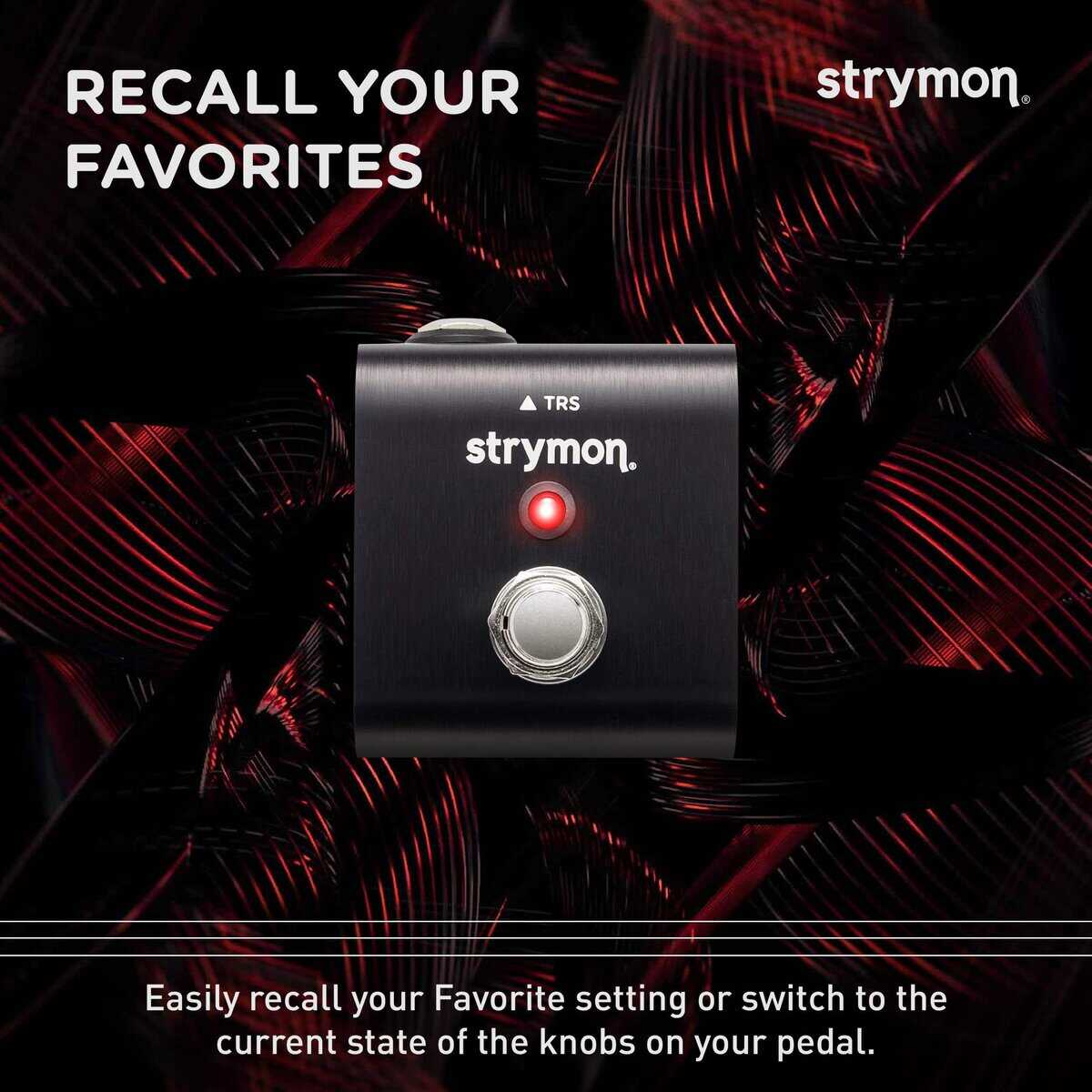 Interruptor de pie Mini Strymon para presets y tempo de - Imagen 5