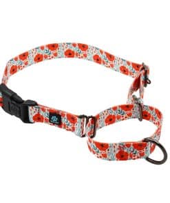 Collar para Perros Martingale con Diseño Max and Neo -
