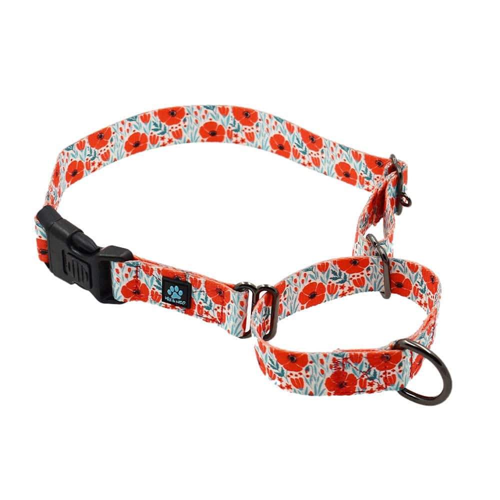 Collar para Perros Martingale con Diseño Max and Neo -