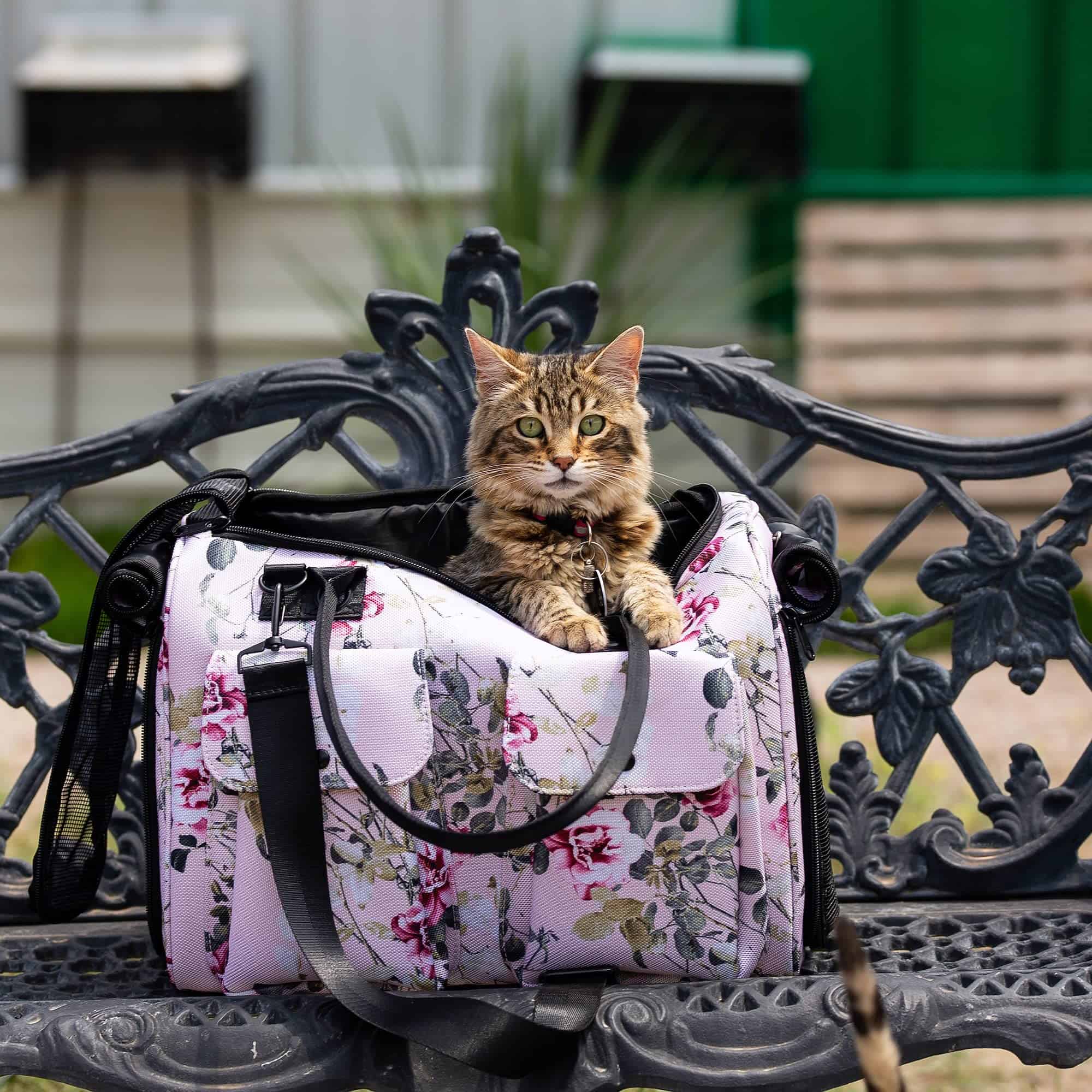 Bolso de Transporte para Perros, Gatos y Conejos - - Imagen 4