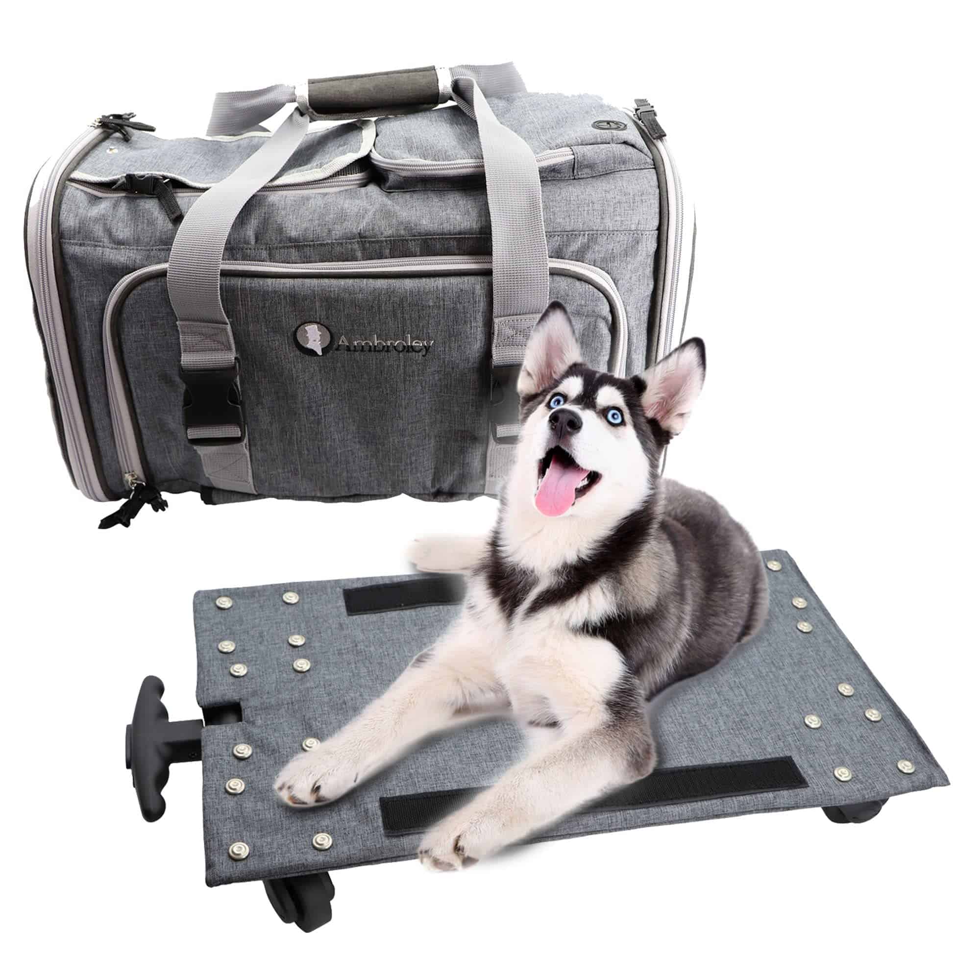 Transportador rodante de mascotas transpirable, aprobado