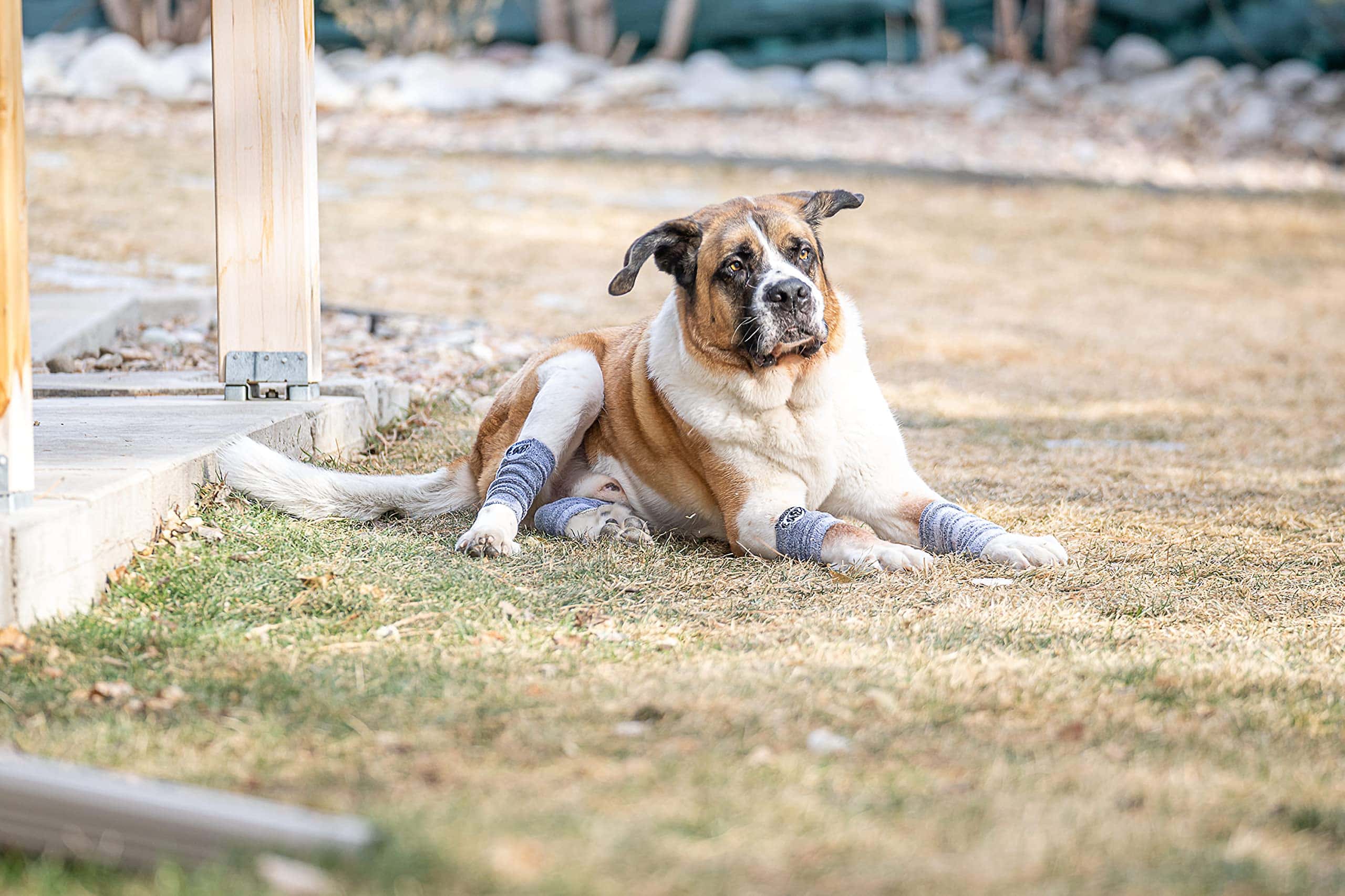 Mallas Protectoras HugeHounds Puttee - Protección Extra - Imagen 4