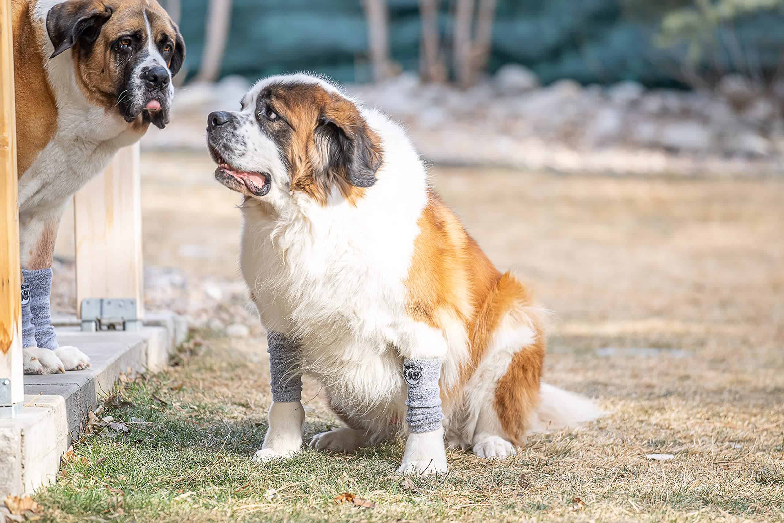 Mallas Protectoras HugeHounds Puttee - Protección Extra - Imagen 3