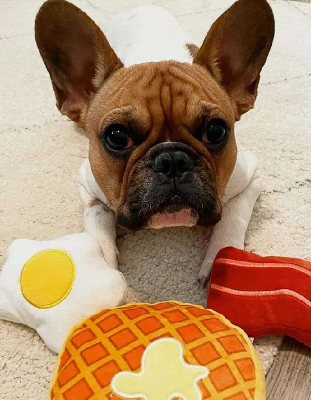 Combo de Juguetes de Peluche TONBO - Waffle, Tocino, Huevo - Imagen 3