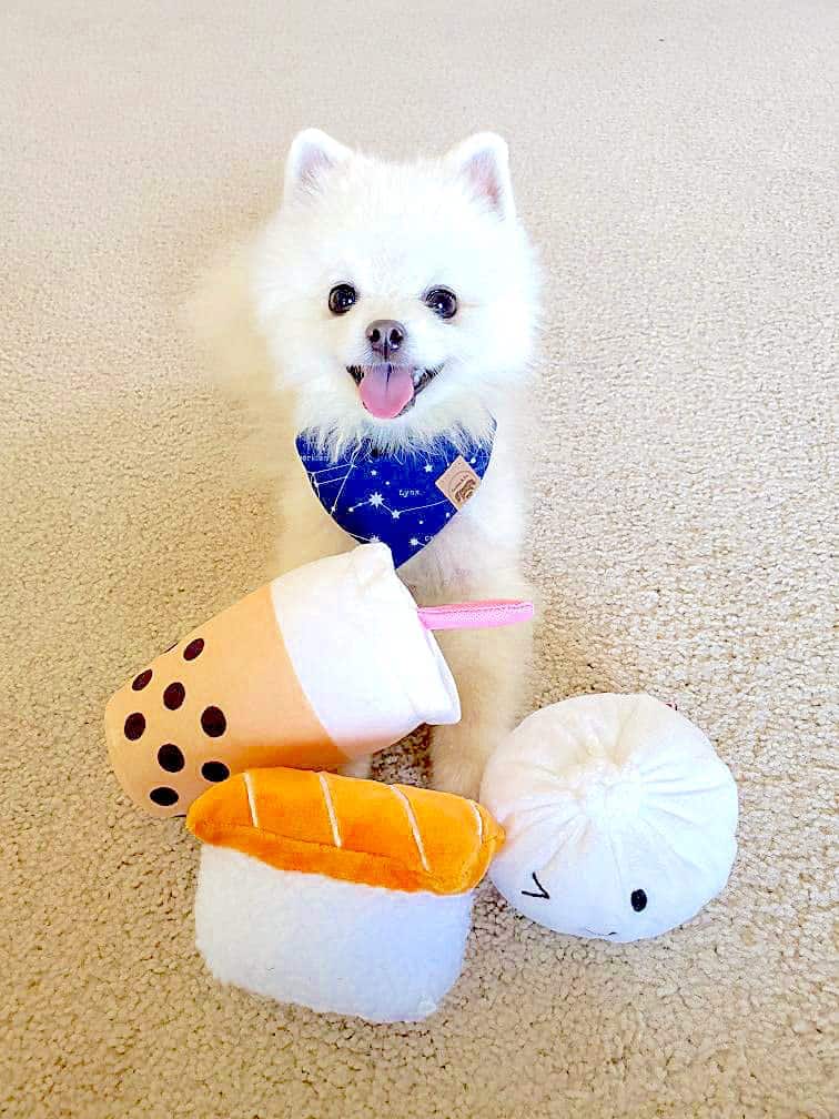 TONBO Juguetes de Peluche de Comida Linda para Perros - Imagen 3