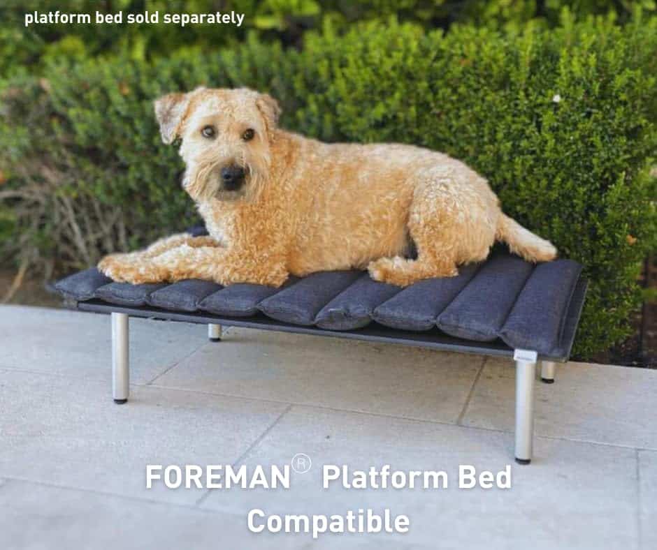 Cama para perros Foreman plegable para exteriores e - Imagen 5