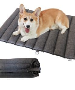 Cama para perros Foreman plegable para exteriores e