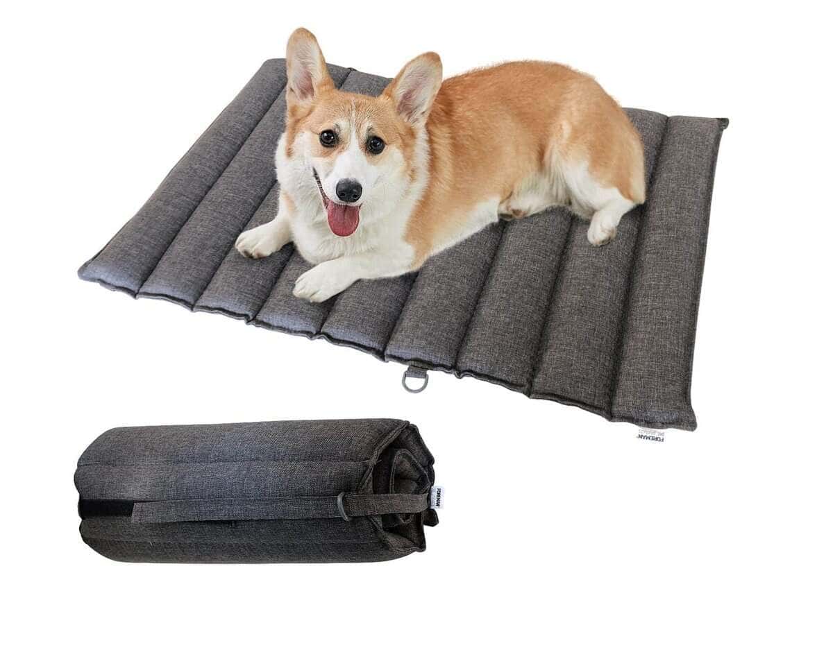 Cama para perros Foreman plegable para exteriores e