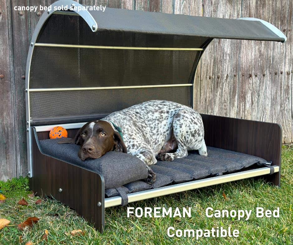 Cama para perros Foreman plegable para exteriores e - Imagen 6