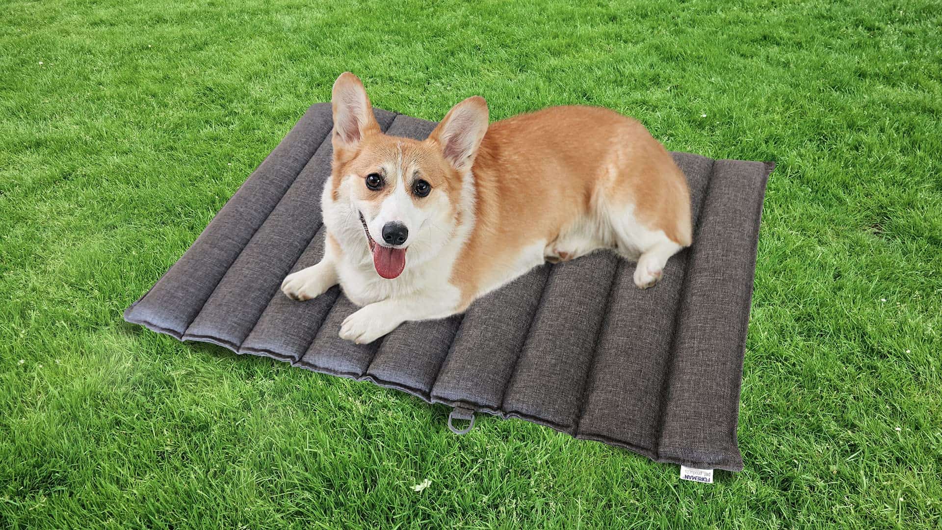 Cama para perros Foreman plegable para exteriores e - Imagen 8
