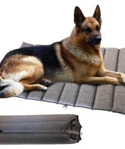 Cama para Perro Plegable Foreman - Colchón para Mascotas de