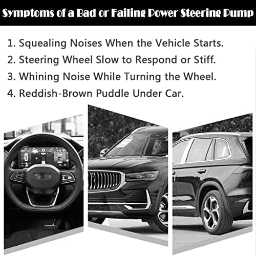 Bomba de dirección asistida AUQDD 21-5350 (con LUK LF-20) - Imagen 7