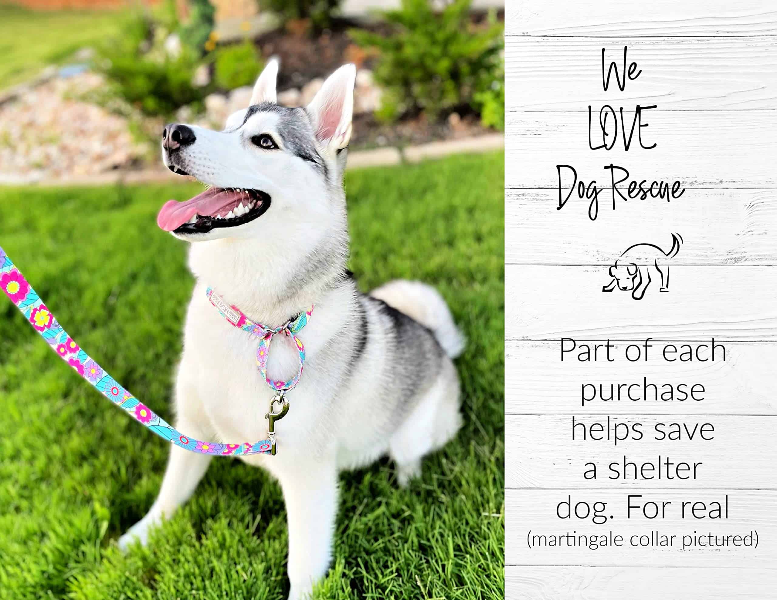 Collares para Perros Lucky Love, Collares con Estampado de - Imagen 6