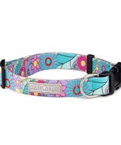 Collares para Perros Lucky Love, Collares con Estampado de