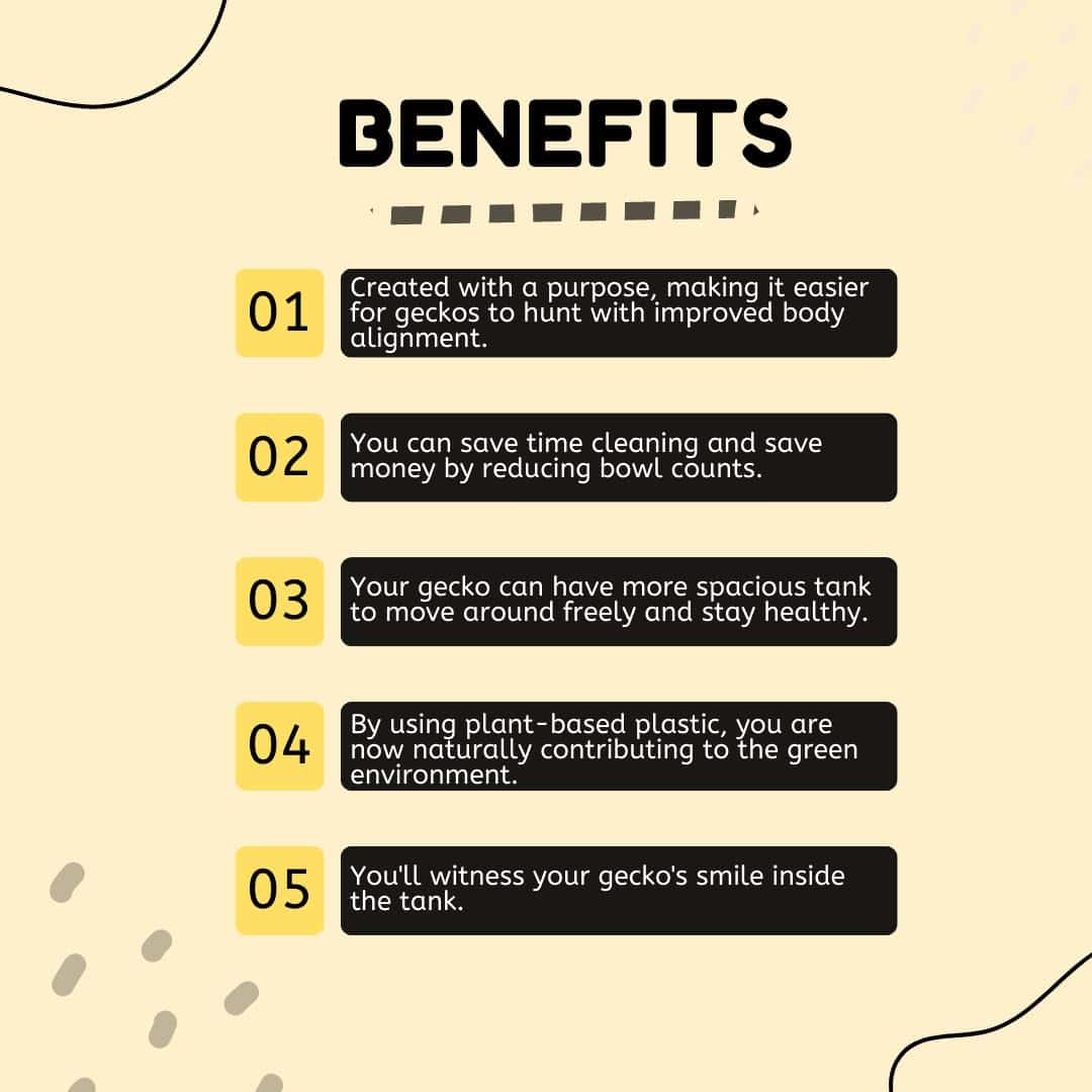 Geckopia Triple Dish 3.0 | 3 en 1 Plato de Reptil | Cuenco - Imagen 4