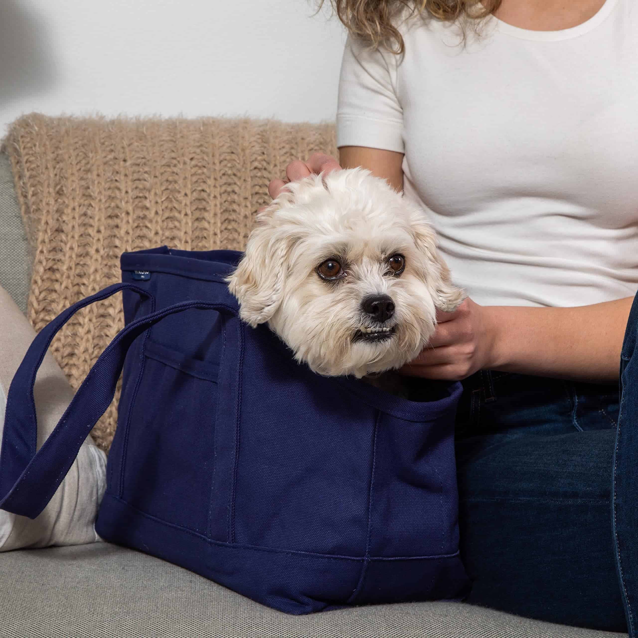 Bolso de lona Waggo para perros, bolso de mano portátil con - Imagen 9