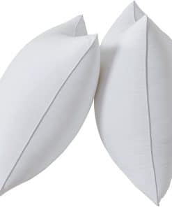 Juego de 2 Insertos de Almohada de 22 x 22 Pulgadas en