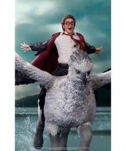 Iron Studios - Harry Potter - Harry Potter y Buckbeak