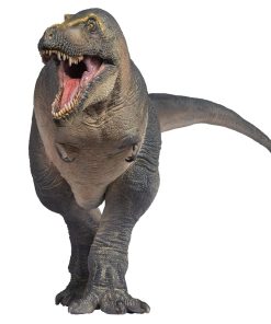 Modelos de Dinosaurios Prehistóricos PNSO (51 Chuanzi El