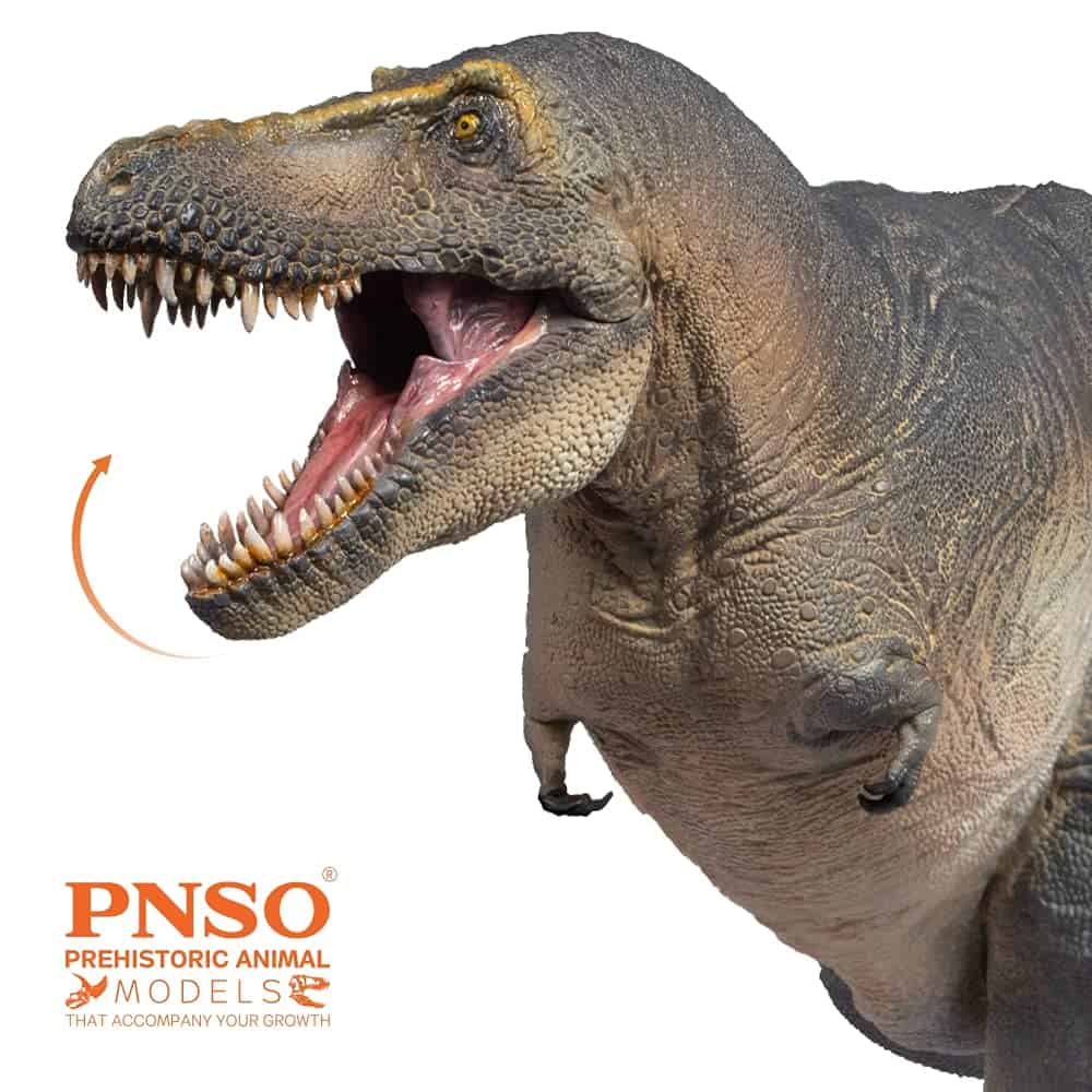 Modelos de Dinosaurios Prehistóricos PNSO (51 Chuanzi El - Imagen 6