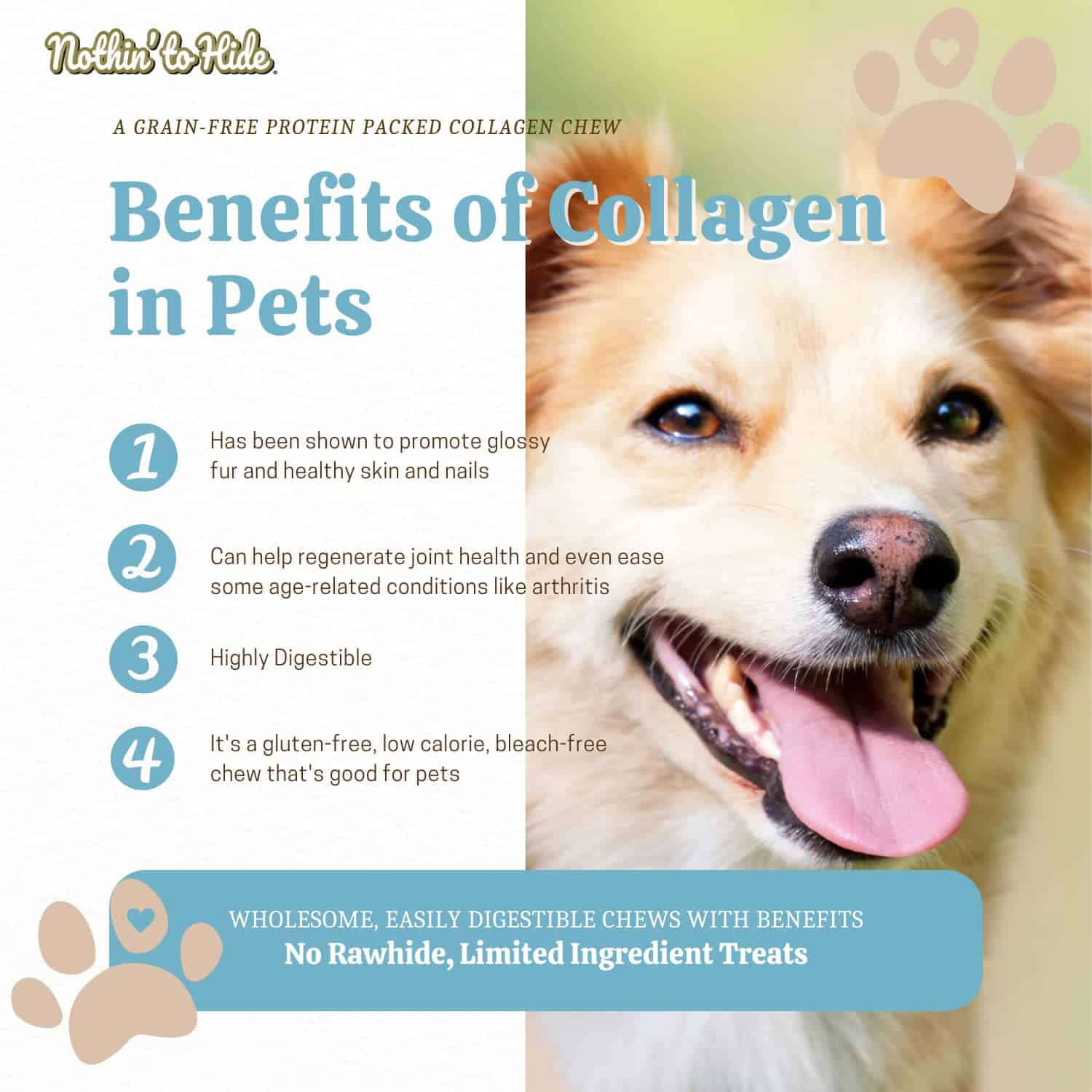 Fieldcrest Farms Nothing to Hide Twist Stix para Perros - - Imagen 4