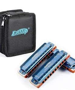 Set de 3 armónicas East Top, 10 agujeros Armónica Blues en