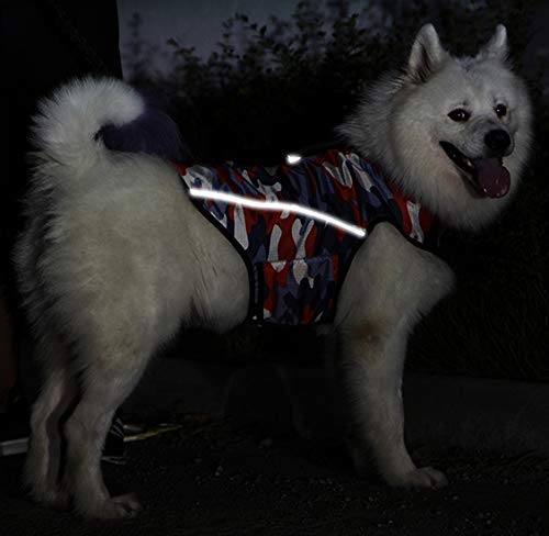 Chamarra para la Ansiedad de Perros - Chaleco Calmante - Imagen 5