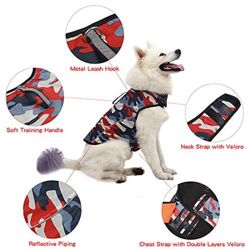 Chamarra para la Ansiedad de Perros - Chaleco Calmante - Imagen 4