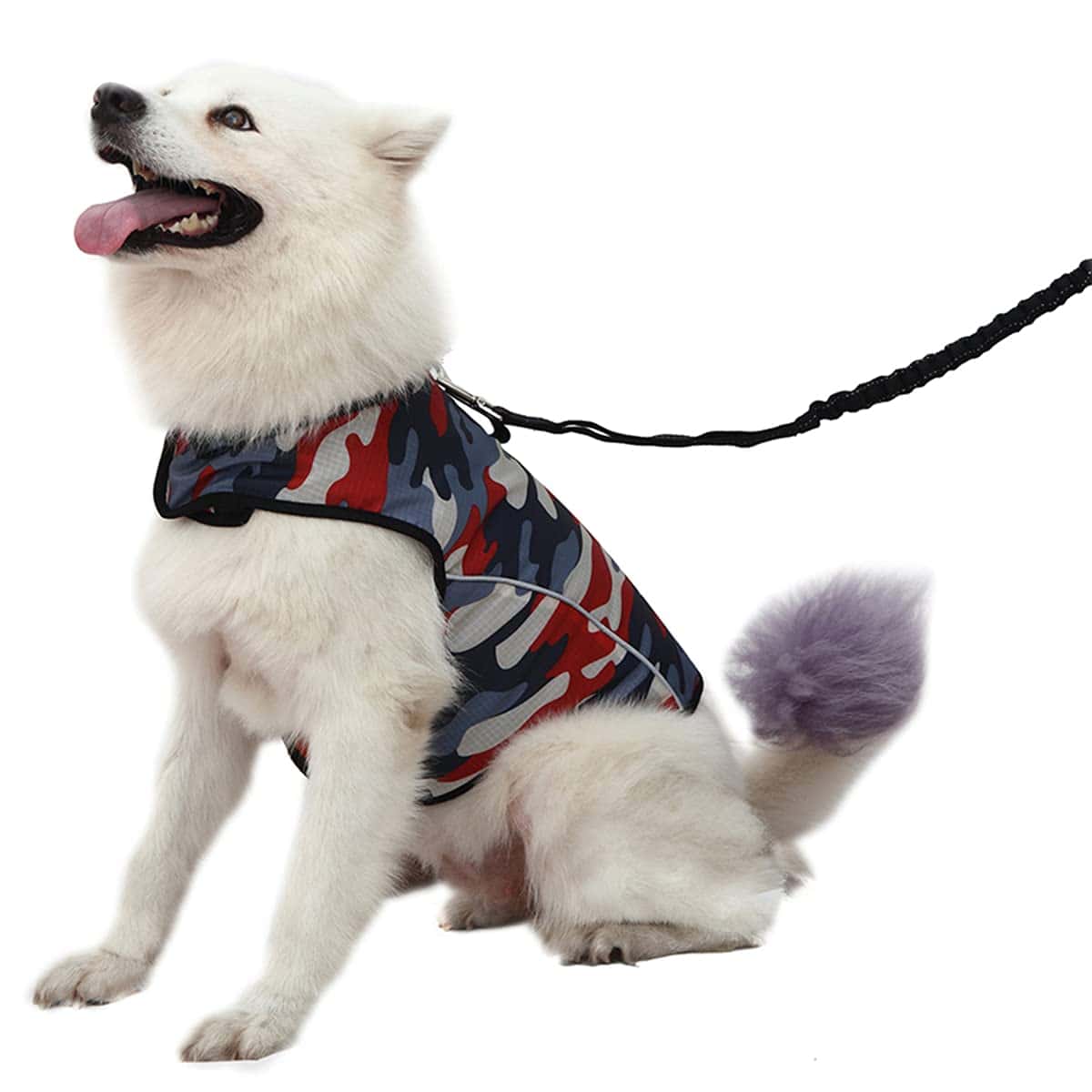 Chamarra para la Ansiedad de Perros - Chaleco Calmante - Imagen 8