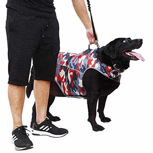 Chaqueta para la Ansiedad en Perros - Chaleco Calmante - Imagen 3