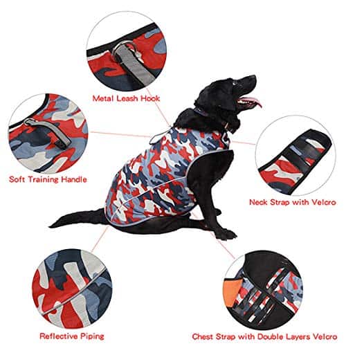 Chaqueta para la Ansiedad en Perros - Chaleco Calmante - Imagen 4