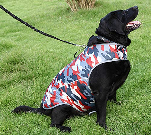 Chaqueta para la Ansiedad en Perros - Chaleco Calmante - Imagen 7