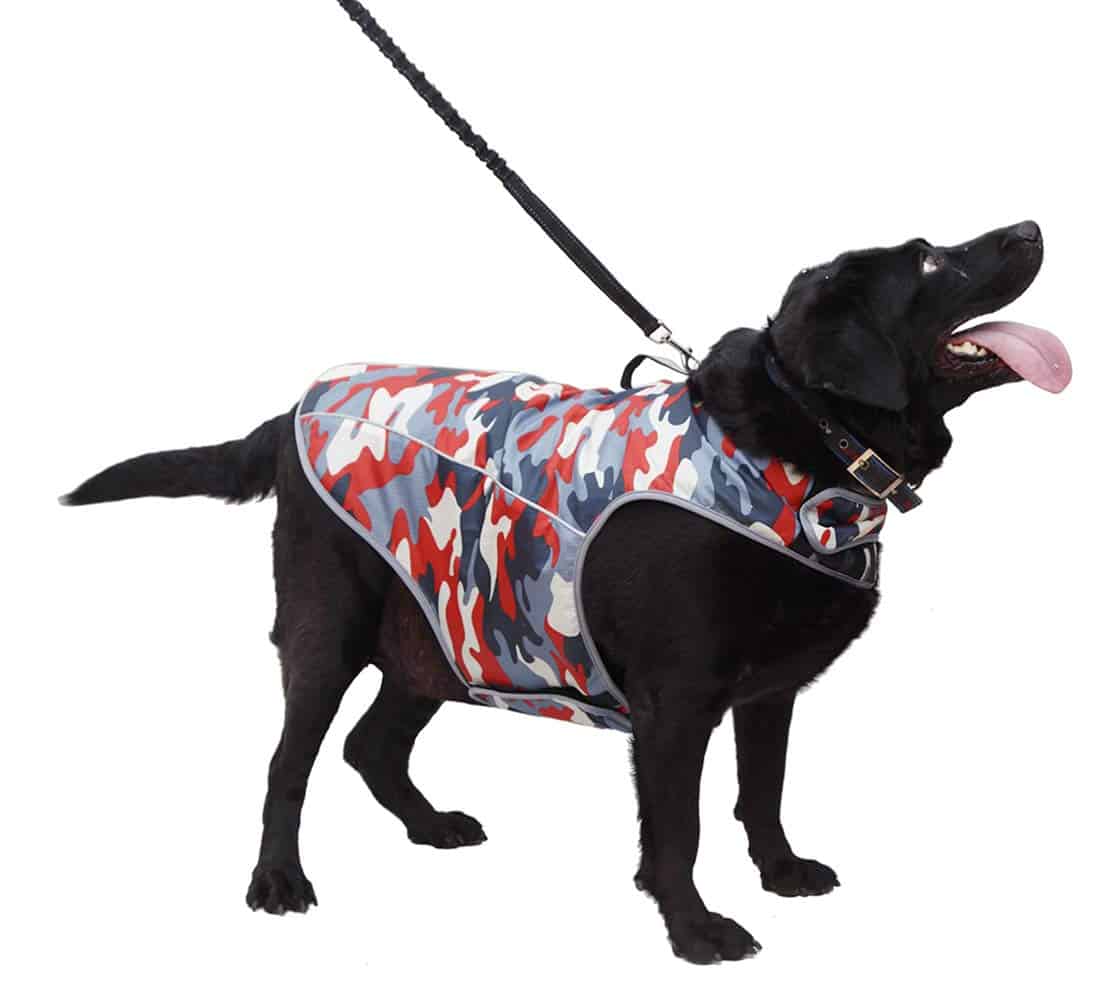 Chaqueta para la Ansiedad en Perros - Chaleco Calmante