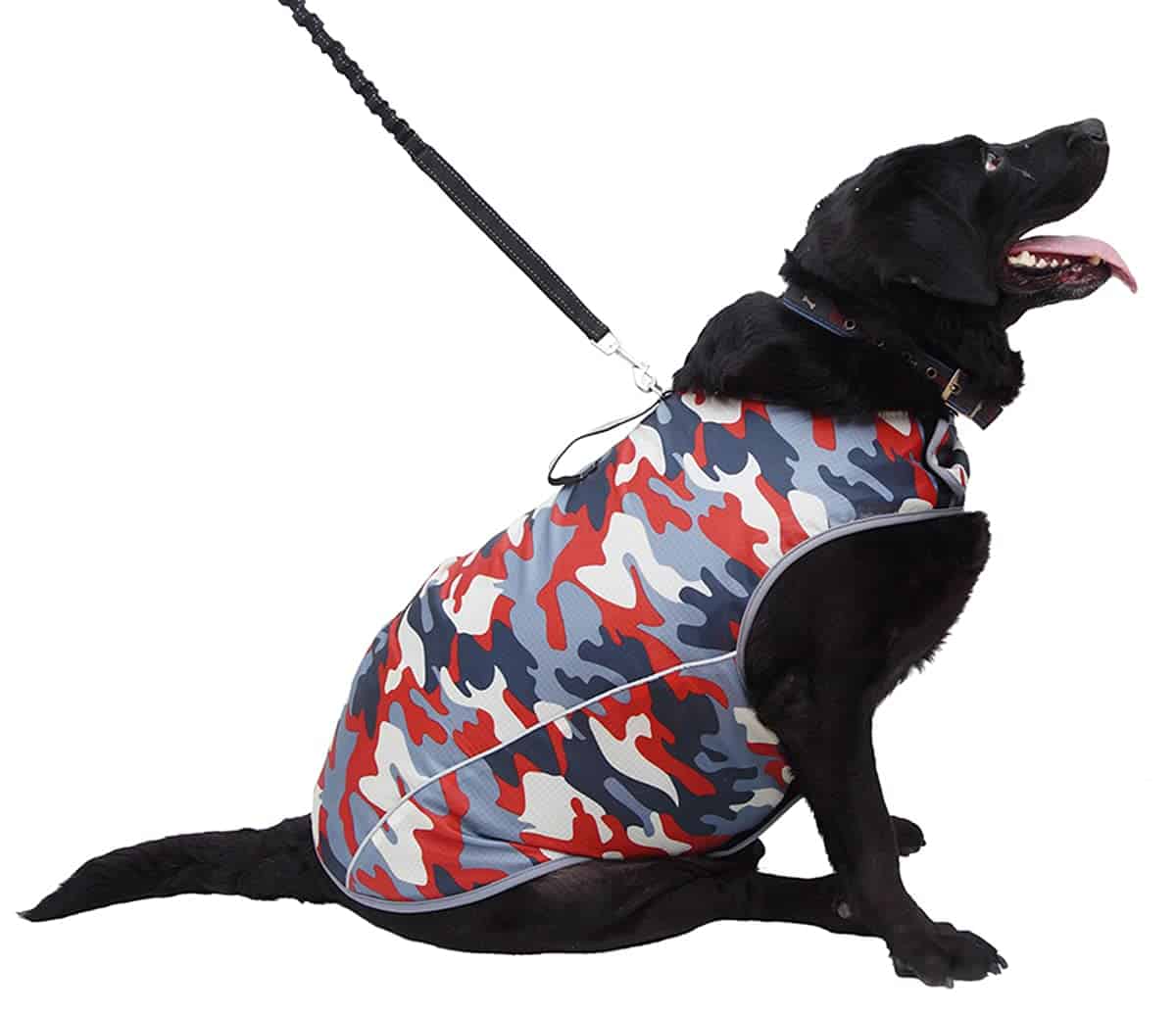 Chaqueta para la Ansiedad en Perros - Chaleco Calmante - Imagen 5