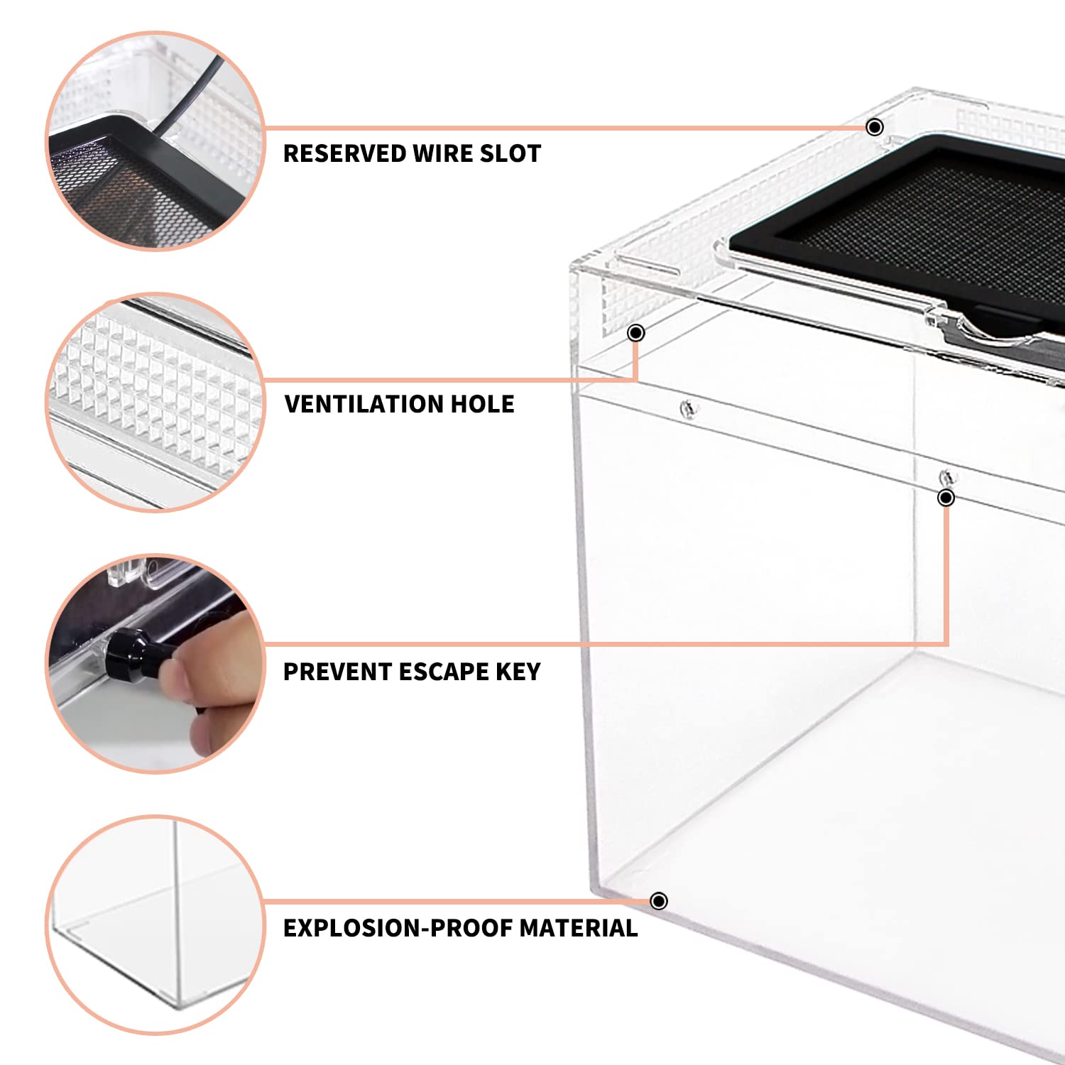 Terrario Mini para Reptiles en Crecimiento, 8" x 8"x 8" - Imagen 6