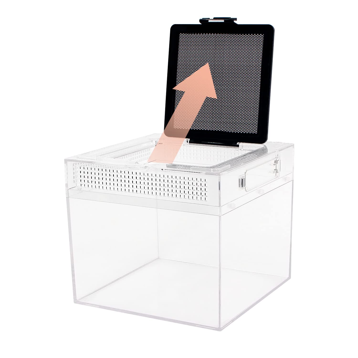 Terrario Mini para Reptiles en Crecimiento, 8" x 8"x 8" - Imagen 7