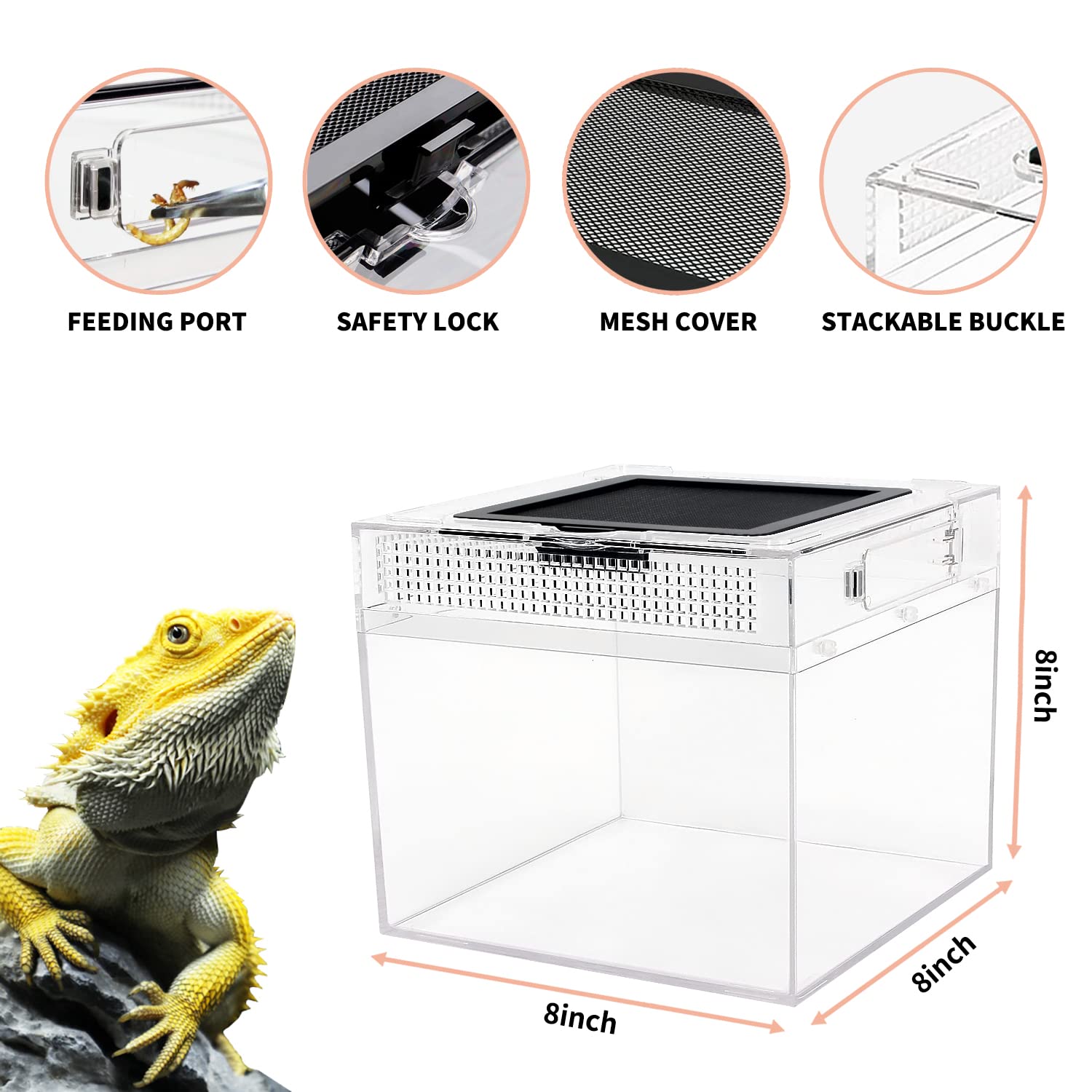 Terrario Mini para Reptiles en Crecimiento, 8" x 8"x 8" - Imagen 5