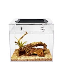 Terrario Mini para Reptiles en Crecimiento, 8" x 8"x 8"