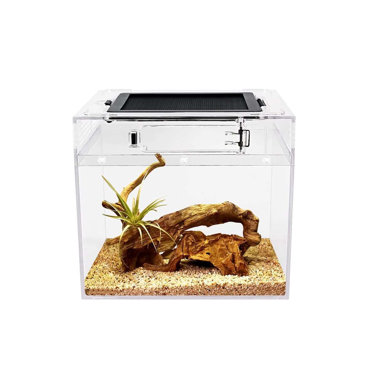 Terrario Mini para Reptiles en Crecimiento, 8" x 8"x 8"